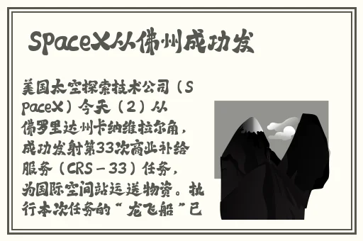 数学老师的兔子又萌又可爱